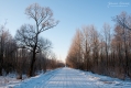 078_Biebrza - marzec 2013
